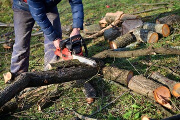 The traditional way of sawing a tree with a chainsaw - 651835902