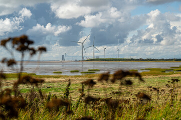 Scene From The Wadden Sea