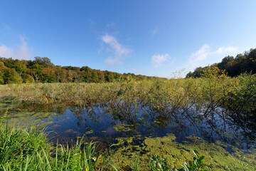  Commelles lakes in the Oise-Pays de France Regional Natural Park