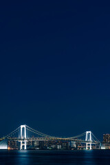 ライトアップされたレインボーブリッジと東京都心の夜景