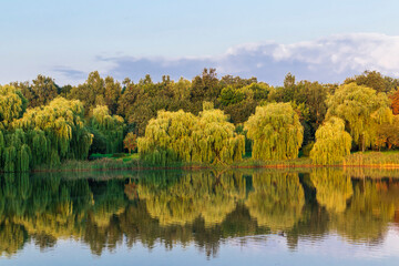Landscape shot of the beautiful park. Outdoors
