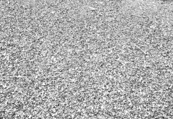 Fotobehang Background from small gravels, top view. Gray construction gravel texture for a poster, calendar, post, screensaver, wallpaper, postcard, banner, cover, website. Toned high quality photo © vveronka