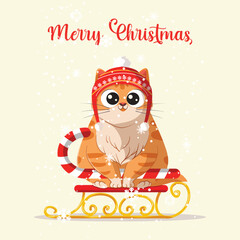 Christmas Card Illustration