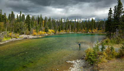 Fly fishing in a mountain stream