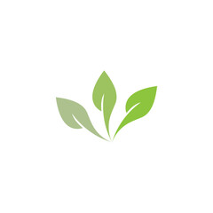 Leaves icon vector set isolated on white background. Various shapes of green leaves of trees and plants. Elements for eco and bio logos.