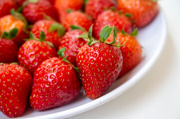 Fresh strawberries just picked from the tree on a white background