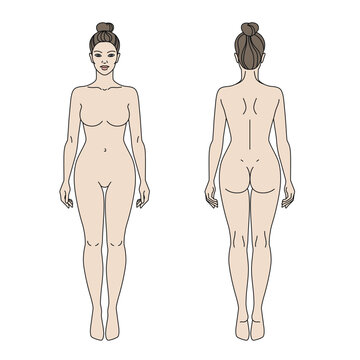 Woman body front and back view vector illustration. Isolated outline line contour color template girl without clothes.
