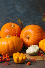 Autumn composition for Thanksgiving Day, still life background. Pumpkin harvest, vegetables, patissons, autumn leaves, red berries on dark wooden table. Fall decoration design. Close up.