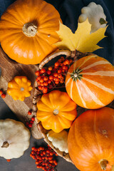 Autumn composition for Thanksgiving Day, still life background. Pumpkin harvest in basket, vegetables, autumn leaves, red berries on wooden table. Fall decoration design. Close up, top view, flat lay.