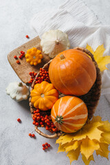 Autumn composition for Thanksgiving Day, still life background. Pumpkin harvest in basket, patissons, autumn leaves, red berries on white kitchen table. Fall decoration design. Top view, flat lay.