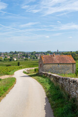 Paysage vignoble