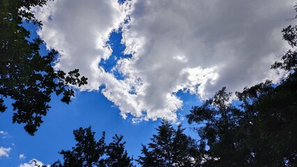 sky and cloud