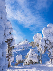 Landschaft mit Schnee im Winter in Ruka, Finnland - 651879550