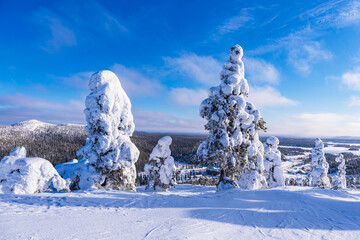 Landschaft mit Schnee im Winter in Ruka, Finnland - 651879556