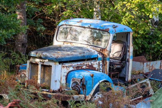 Blue truck wreck rusting in the woods