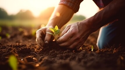 Male hands touching soil on the field. Expert hand of farmer checking soil health before growth a seed of vegetable or plant seedling. Business or ecology concept. - obrazy, fototapety, plakaty