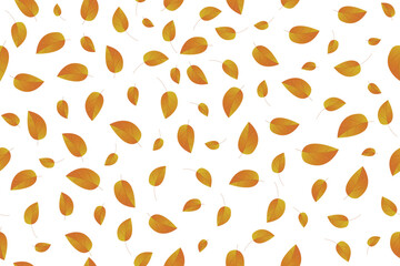 Seamless floral pattern, cute flower print. Pretty flower and leaf pattern design for fabric, wallpaper. small hand drawn plants, a white background. Vector illustration.