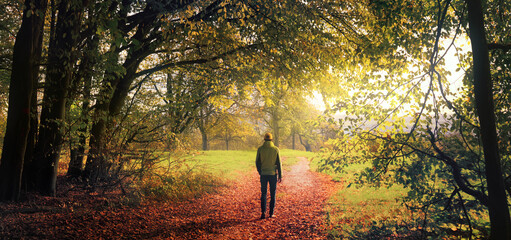 Hiker walking out of the forest into open landscape, a recreation scene in autumn with beautiful light and vegetation