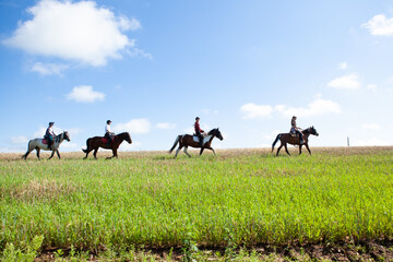 Horseback riding. Horseback riding. Young women equestrians gallop on horses through a field on a...
