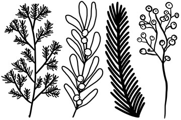 A set of simple winter twigs. Doodle plants for decoration. Spruce branches for the New Year holidays.