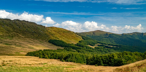 A mountain range in the Bieszczady Mountains in the area of Tarnica, Halicz and Rozsypaniec.