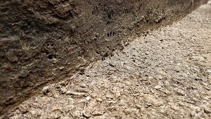 Dry land during the long dry season