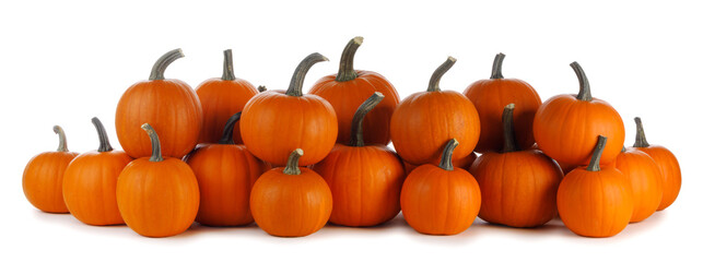 Many orange pumpkins on white