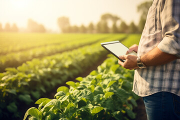 Farmer using tablet with blurred organic vegetable background - obrazy, fototapety, plakaty
