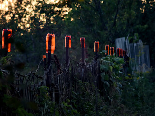 The interior of the fence in the village