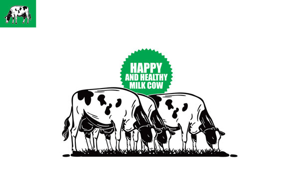 HOLSTEIN DAIRY MILK COW LOGO, silhouette of great catles eating grass in field vector illusstrations.