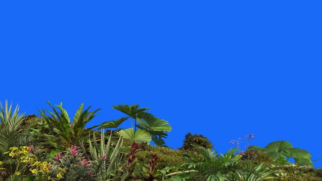 3D render animation foreground plants and stumps on background blue