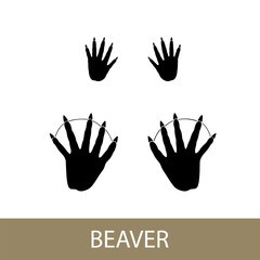 Trace of forest animal, European beaver mammal footprint, illustration - obrazy, fototapety, plakaty