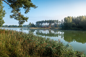 Beautiful nature. Reservoir on the Wieprz River. Pine trees reflecting in the water in the foreground. The island in the background. Pine forests. Morning light. Roztocze, Krasnobrod, Poland - obrazy, fototapety, plakaty