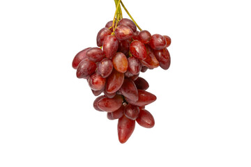 A sprig of red grapes in woman hands isolated on a white background.