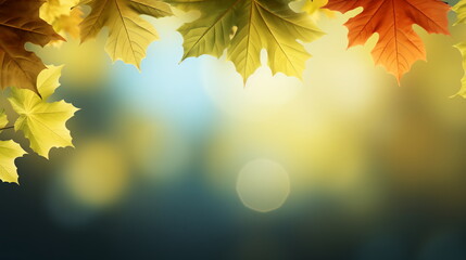Autumn natural background, design, banner or template. Yellow and red maple leaves are flying and...