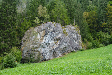 Kletterfelsen am Waldrand in einer Wiese im Zillertal
