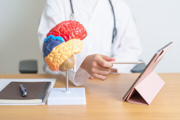 doctor with human Brain anatomy model and tablet. World Brain Tumor day, Brain Stroke, Dementia,...