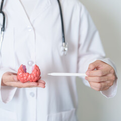 Doctor with human Thyroid anatomy model. Hyperthyroidism, Hypothyroidism, Hashimoto Thyroiditis,...