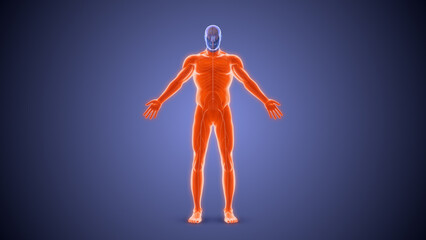 Quadriplegia paralysis condition medical concept