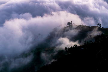 The view of the ridge and trees exposed to the sea of ​​clouds is so beautiful in the afternoon before the sunset
