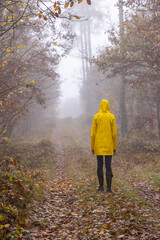 Fototapeta premium Young woman with yellow raincoat and rubber boots in autumn landscape