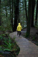 Obraz premium person walking in the woods