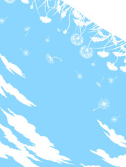 Summer blue background of sky, grass and dandelions, flowers, fluff and clouds.