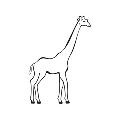Girrafe Line Drawing flat design isolated