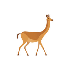 Vicuna flat design in vector illustration of an animal