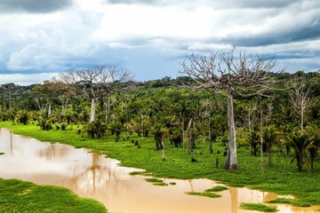 Porto Velho Rondonia porto velho, rondônia, rio madeira, catedral de porto velho, mercado do cai nágua, prefeitura, palacio do governo
