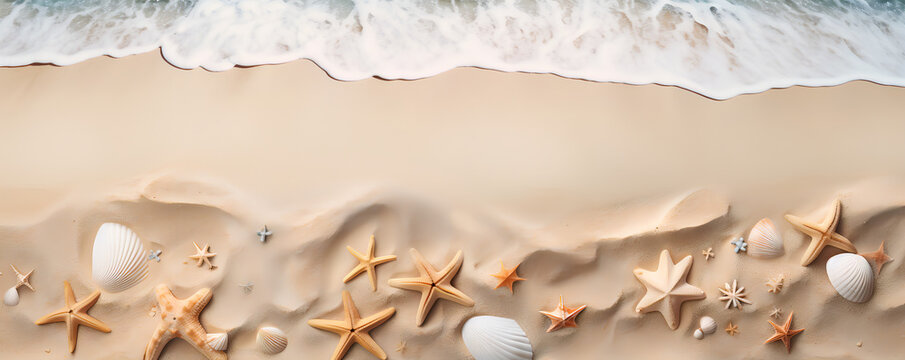 Sandy beach background, raining shimmering sand, salty, shell and seastars - The Sandy Beach Series