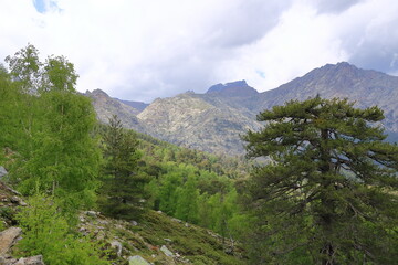 Fototapeta premium beautiful mountain landscape in die centre of corsica, france