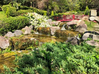 Hermoso arroyo estilo japonés con un puente
