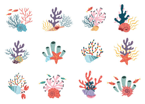 Sea plant alga seaweed coral underwater weed undersea reef isolated set. Vector graphic design illustration